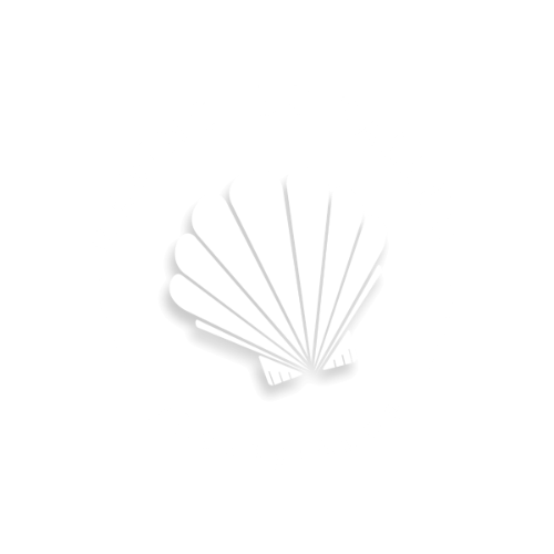 Galerie - Marine Le Tallec